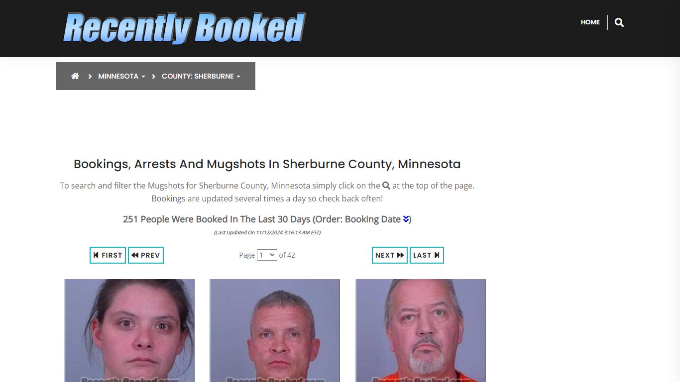 Bookings, Arrests and Mugshots in Sherburne County, Minnesota